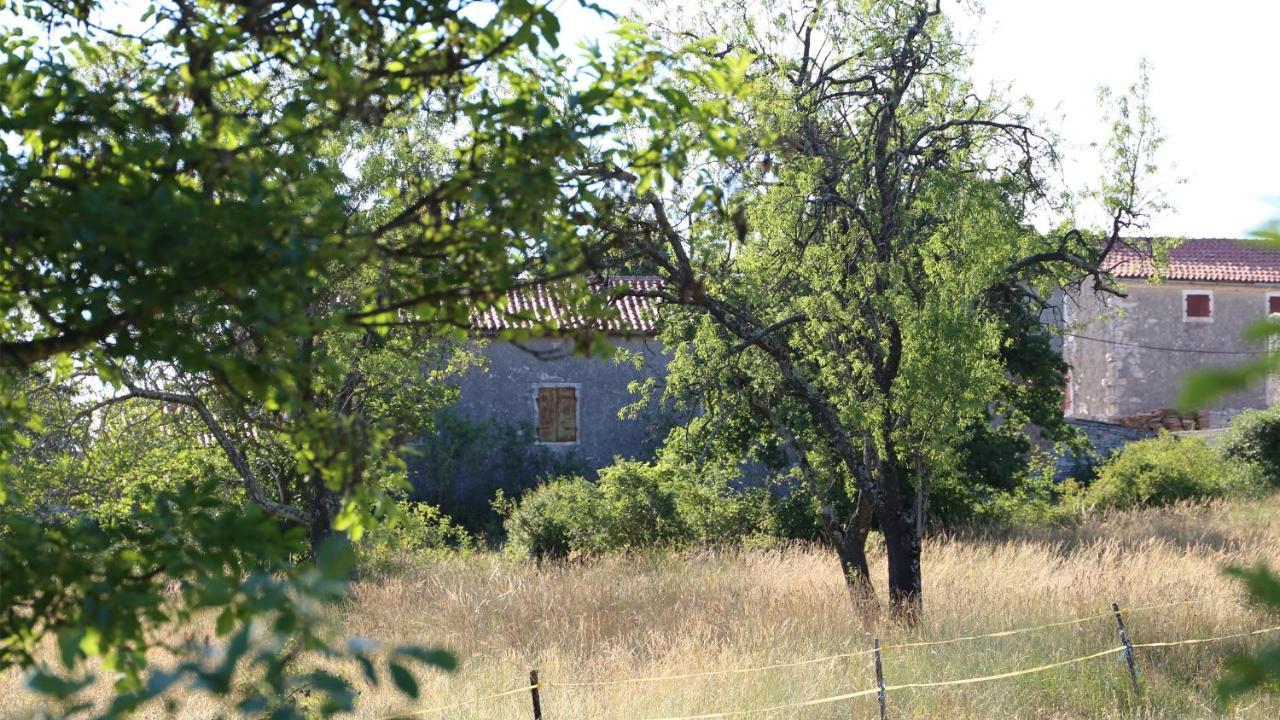 Vila Casa Conte Istria Kanfanar Exteriér fotografie