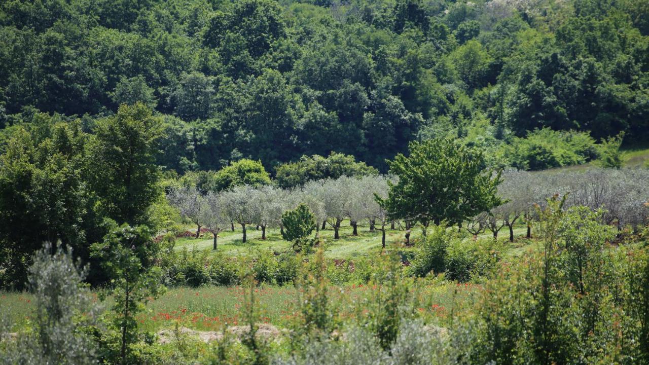 Vila Casa Conte Istria Kanfanar Exteriér fotografie